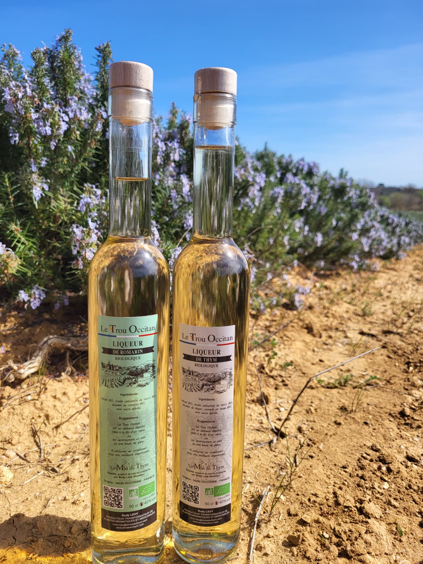 Le Trou Occitan — Liqueur de Romarin